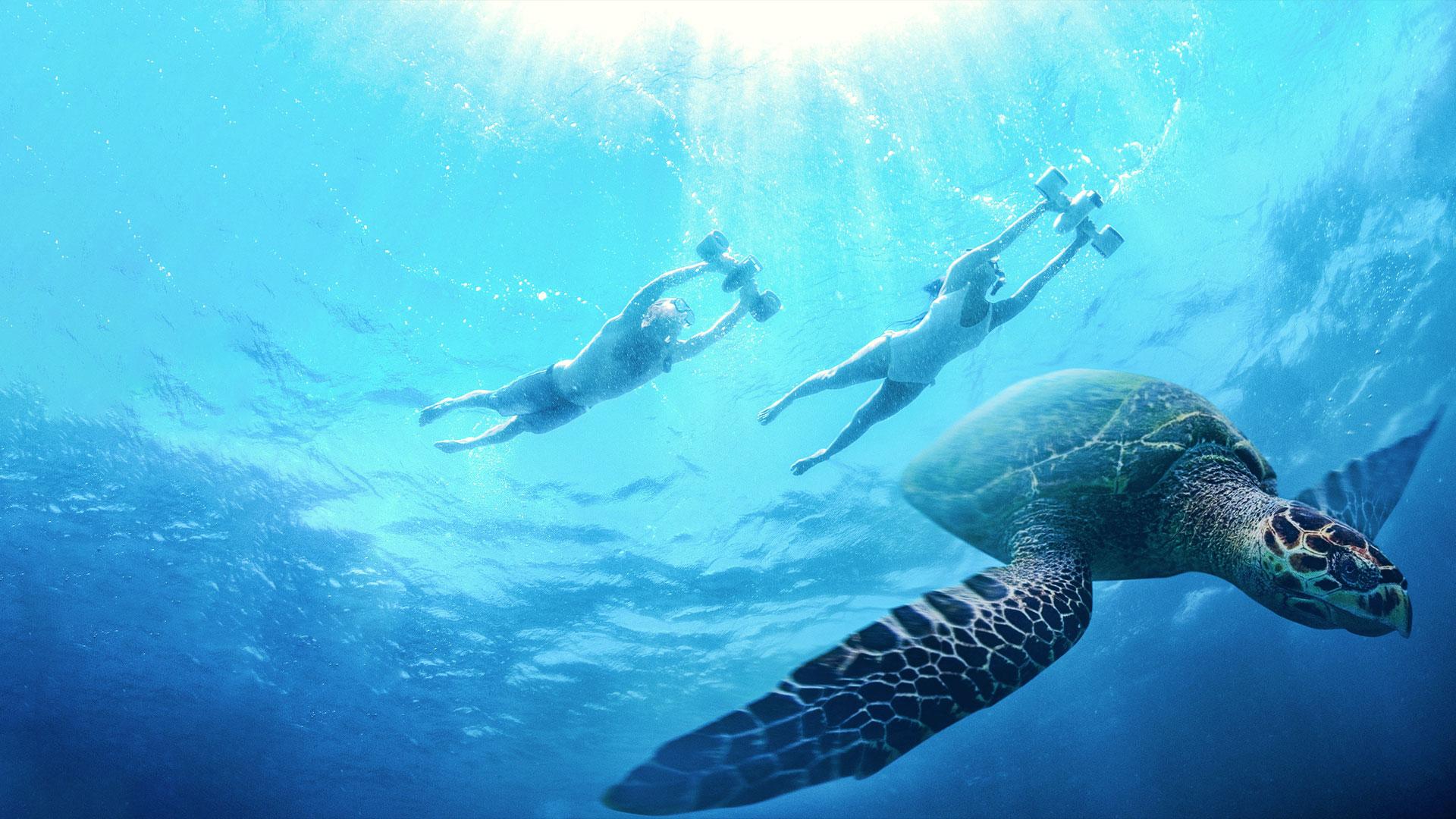 deux nageurs avec un scooter sous marin sublue et une tortue de mer