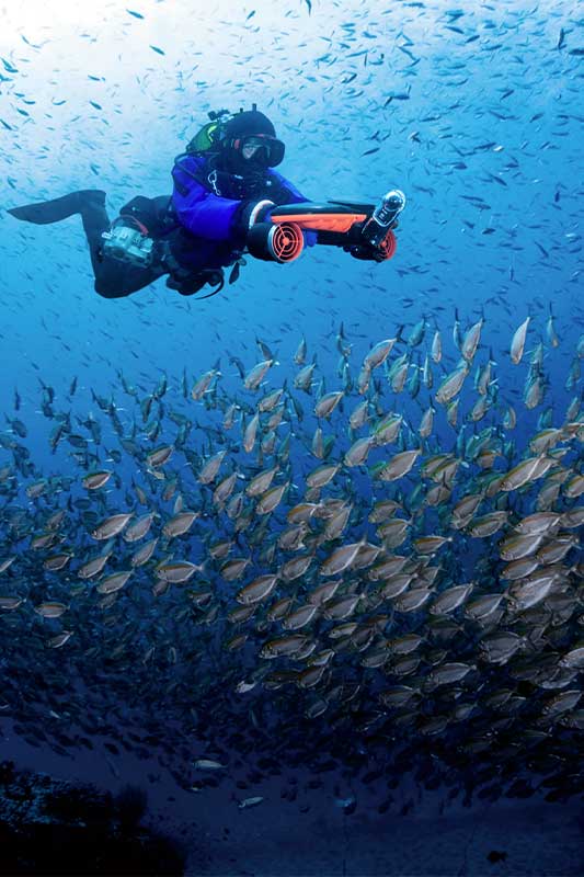 plongeur proche d'un band de poisson avec un scooter sous marin sublue navbow